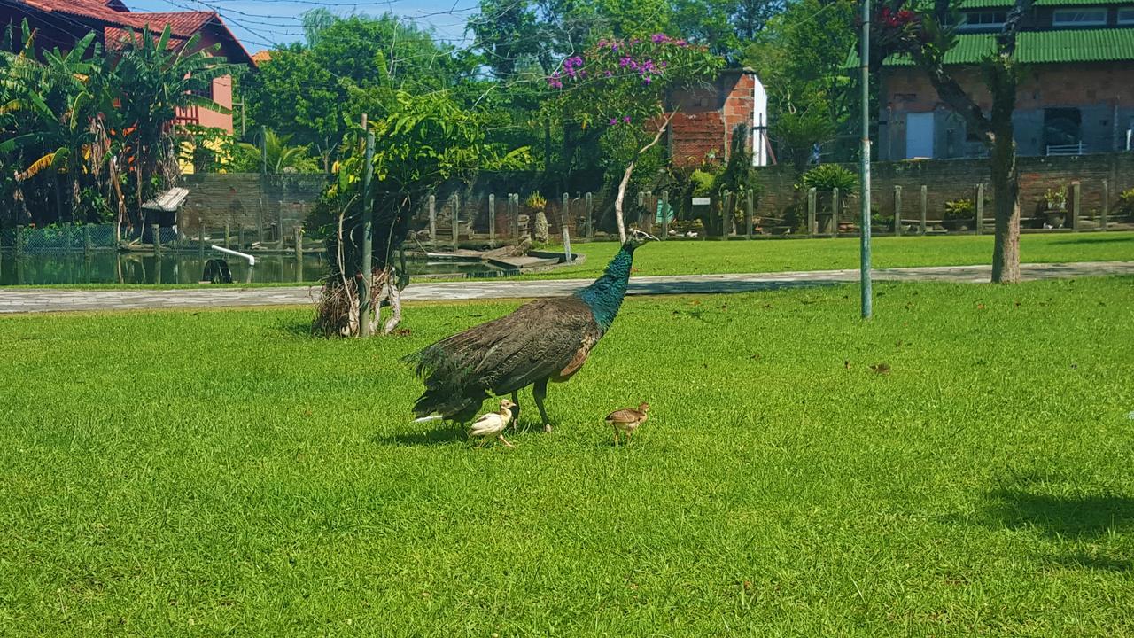 Pousada Pavao Branco Florianopolis Bagian luar foto