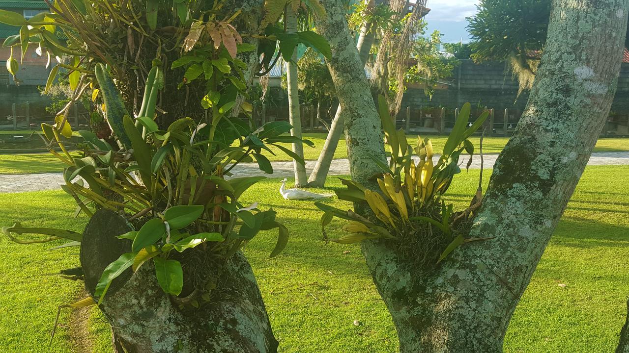 Pousada Pavao Branco Florianopolis Bagian luar foto