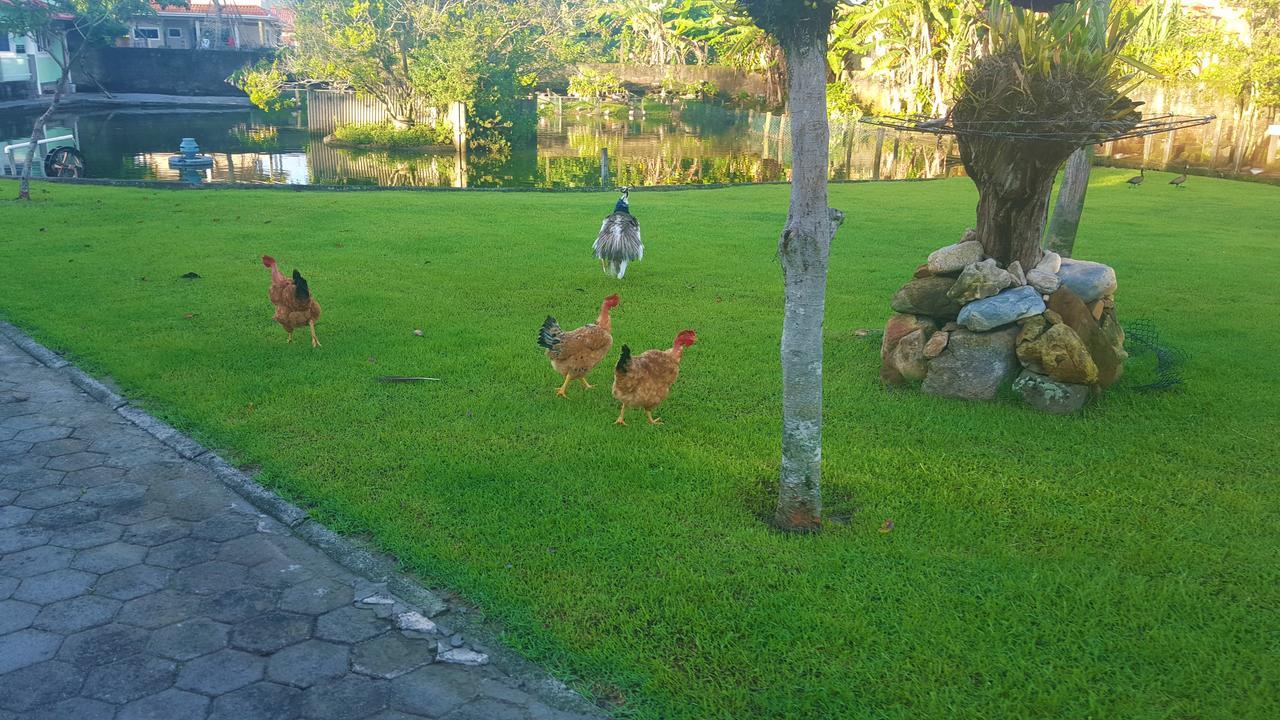 Pousada Pavao Branco Florianopolis Bagian luar foto
