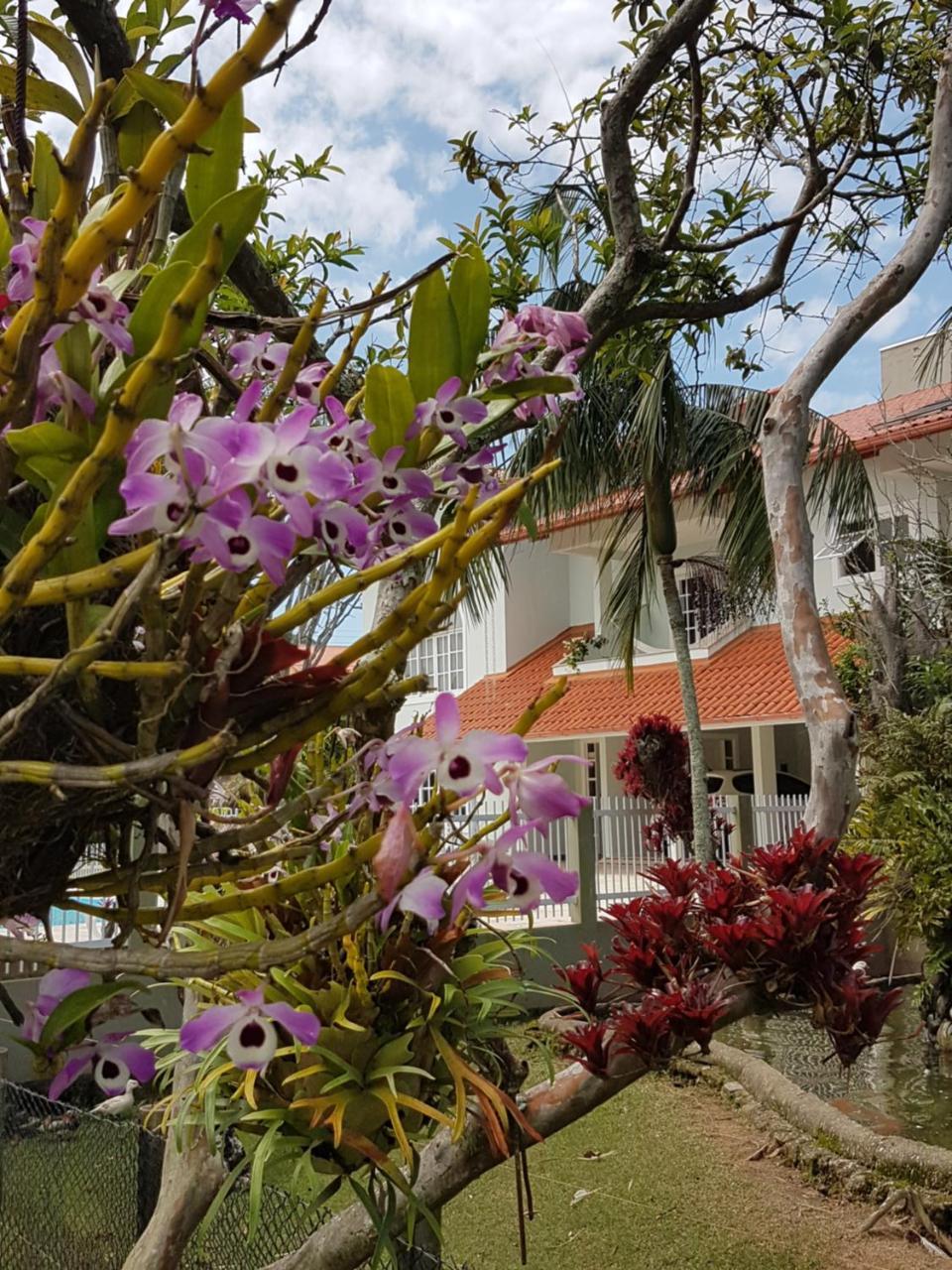 Pousada Pavao Branco Florianopolis Bagian luar foto
